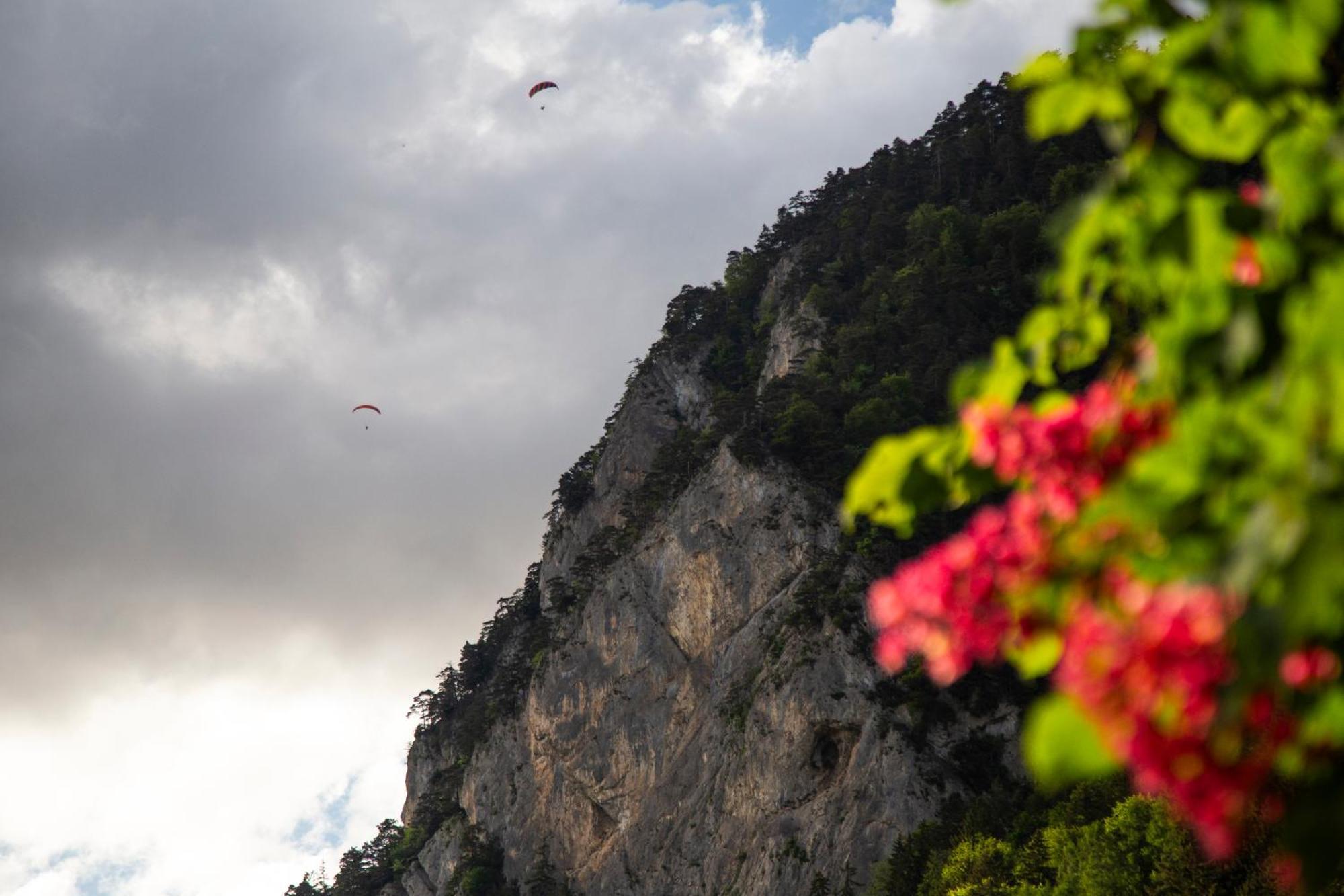 Nimbuzzz Apartments Unterseen Εξωτερικό φωτογραφία